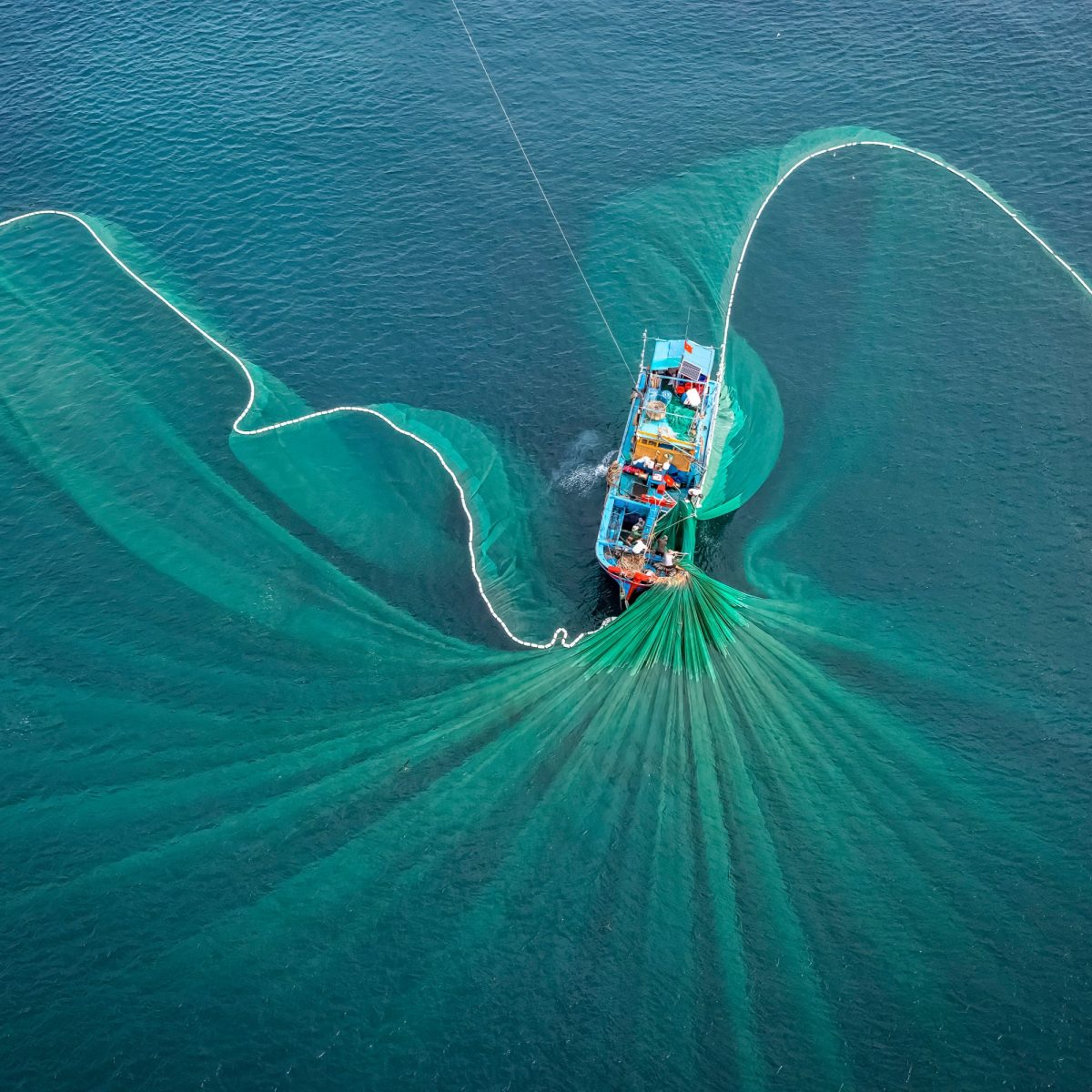 Ships and fishermen are fishing anchovies in Yen Island, Phu Yen, Vietnam Ships and fishermen are fishing anchovies in Yen Island, Phu Yen, Vietnam